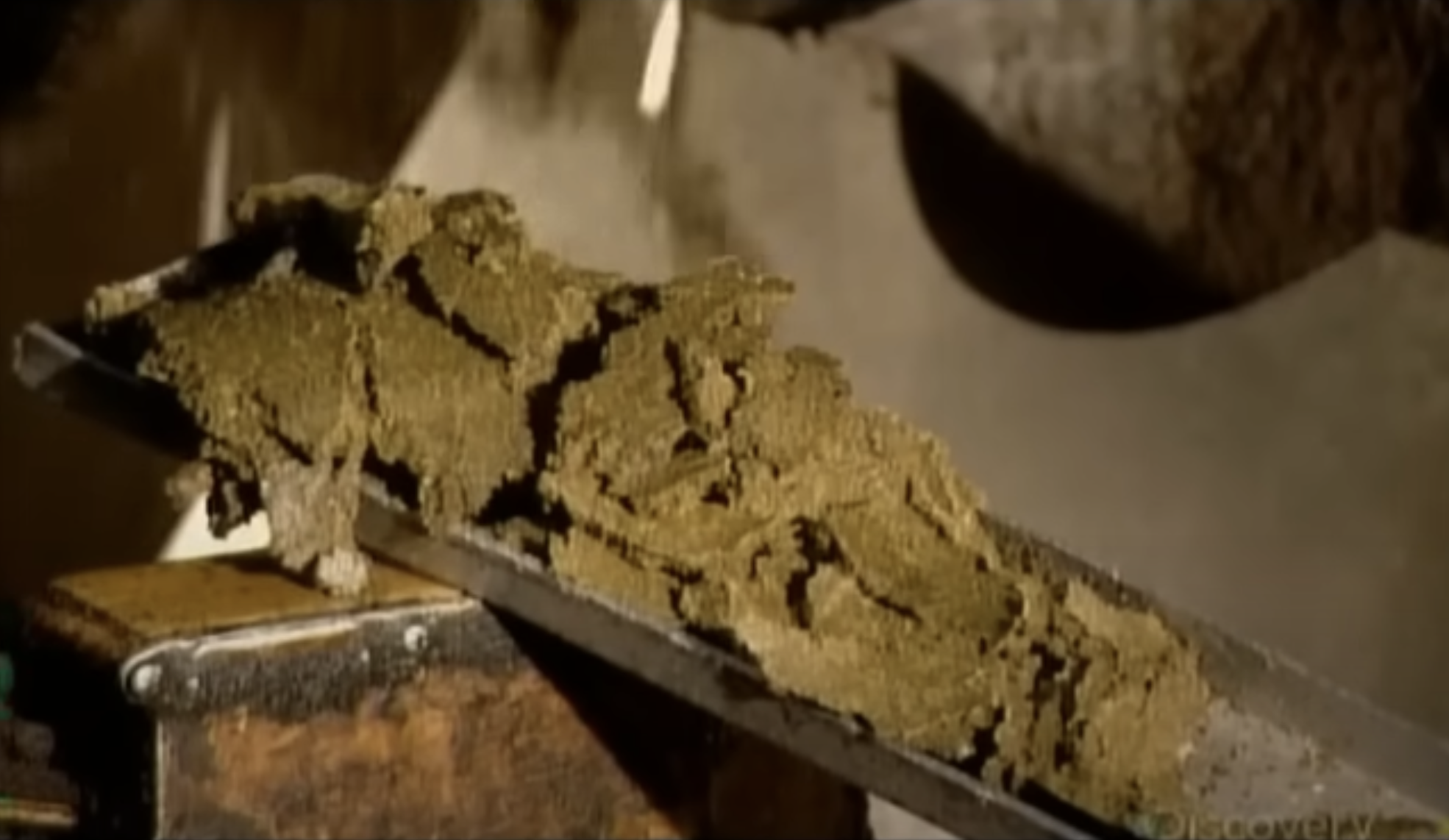 How is vegetable oil made? — Today You Should Know